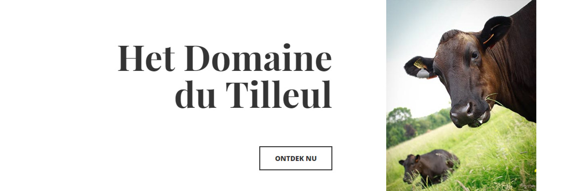 Domaine du Tilleul