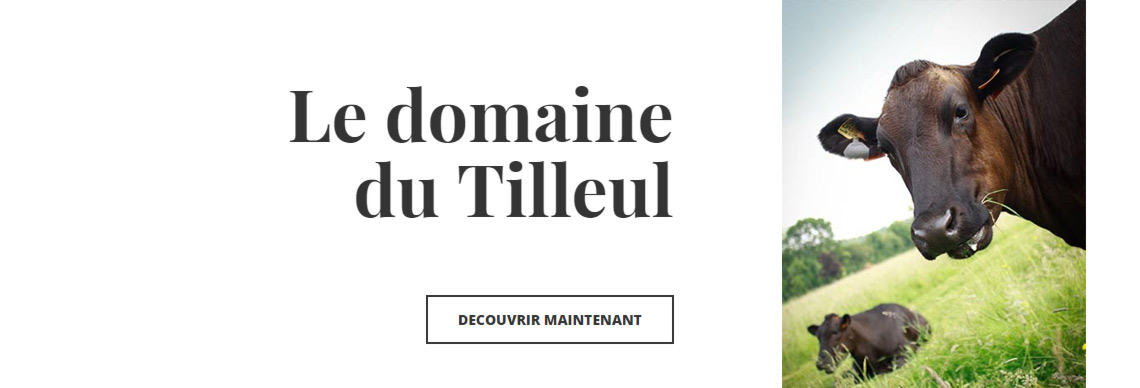 Domaine du Tilleul